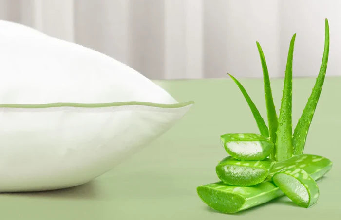 Rahustav tunne une ajal tänu aloe verale.